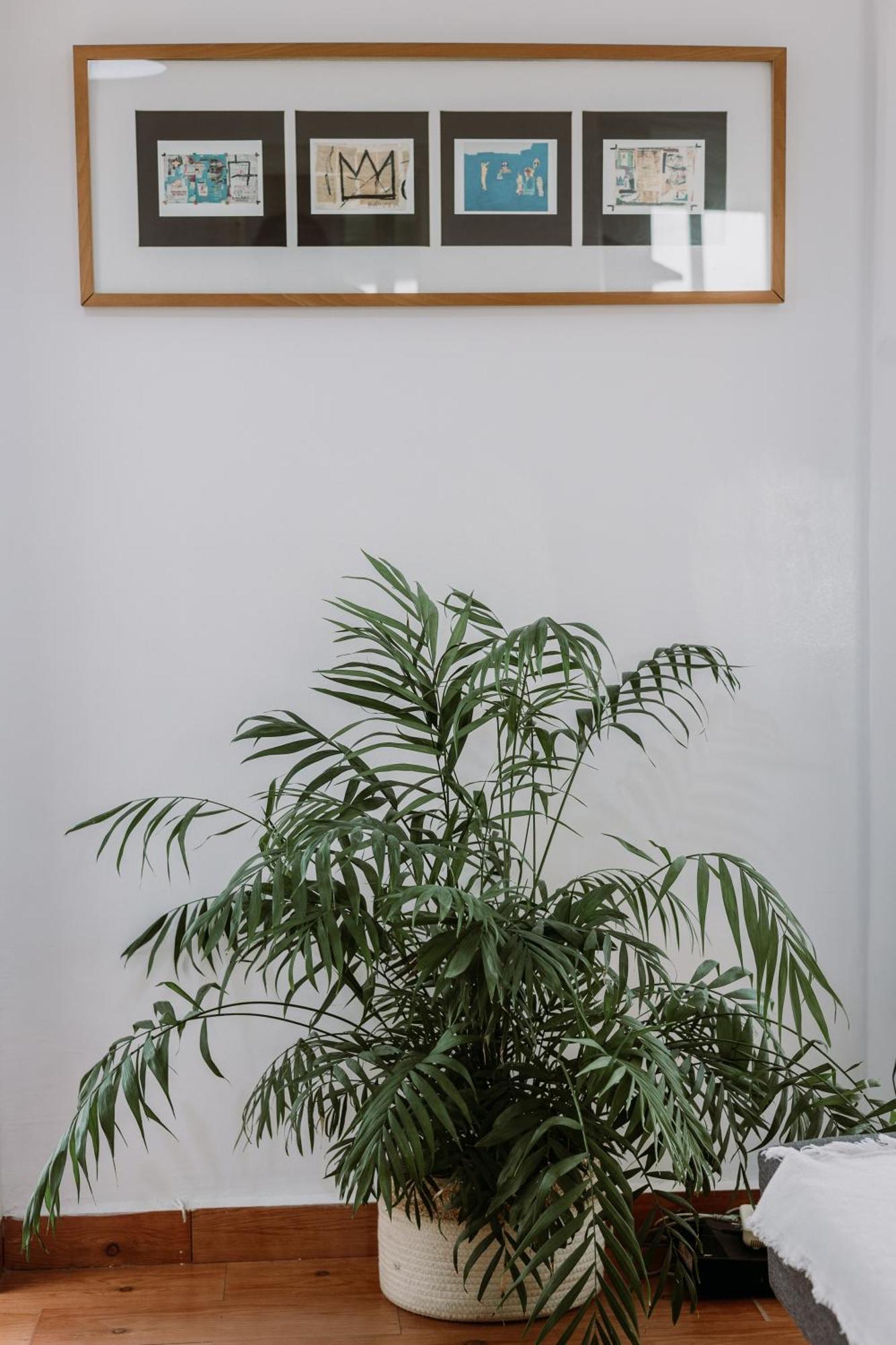 Spacious Apartment Sevilla